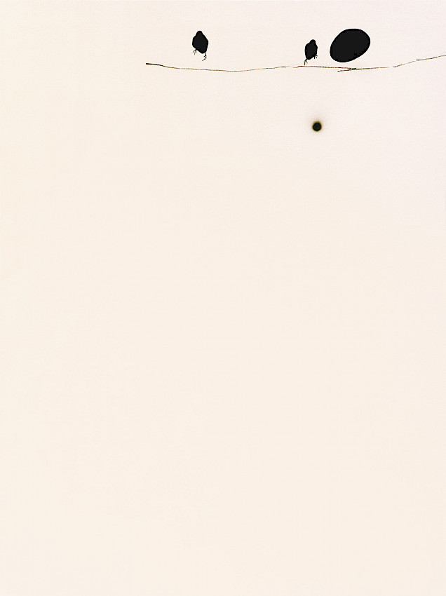 New Maliciousness (04)