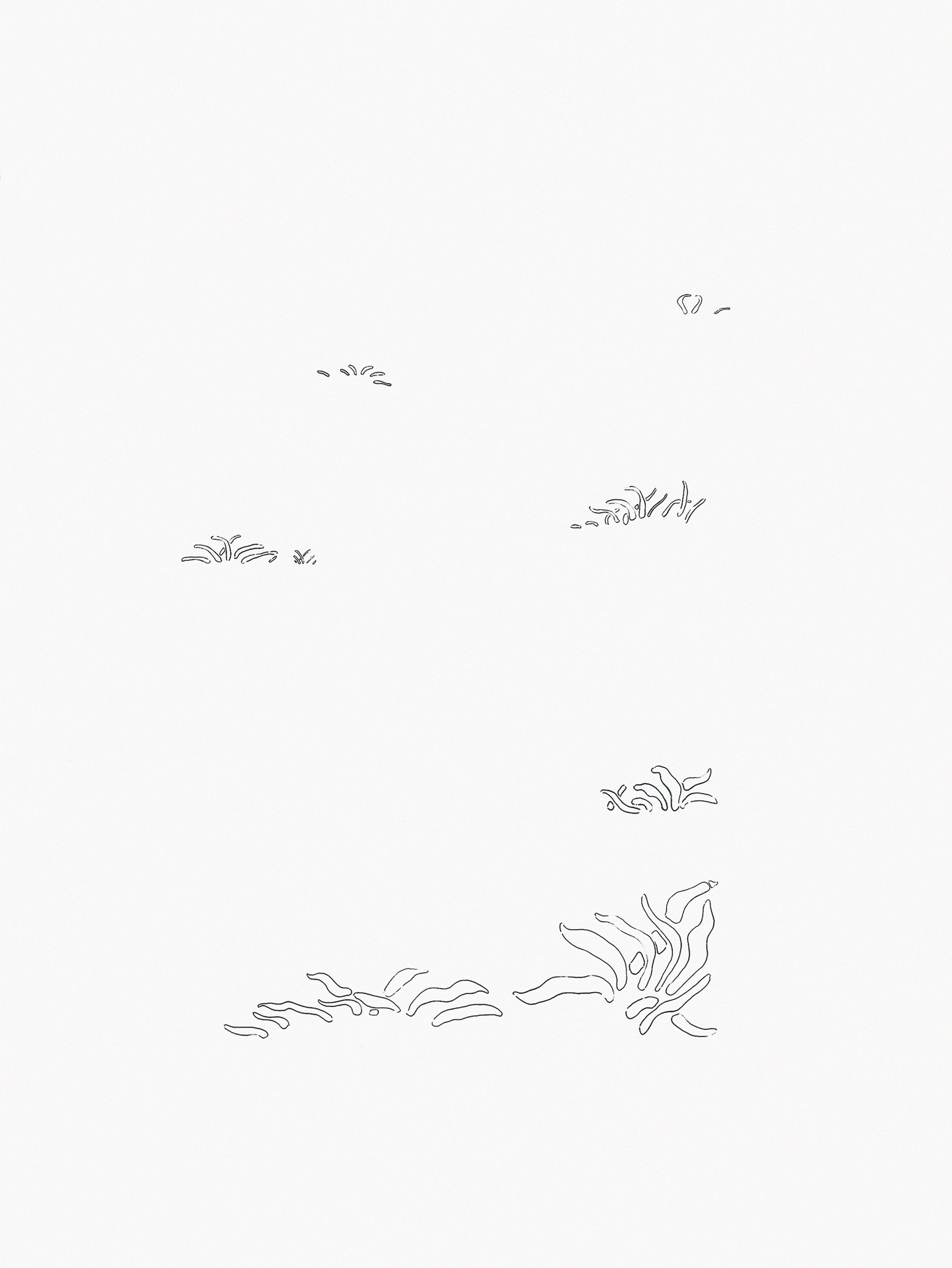 El pequeño TrojanDownloader.Win32.BHO, EPOC_Virus, X79M_Virus, JOKE_Virus y  HTML_Virus en Firewall X v2.1.12