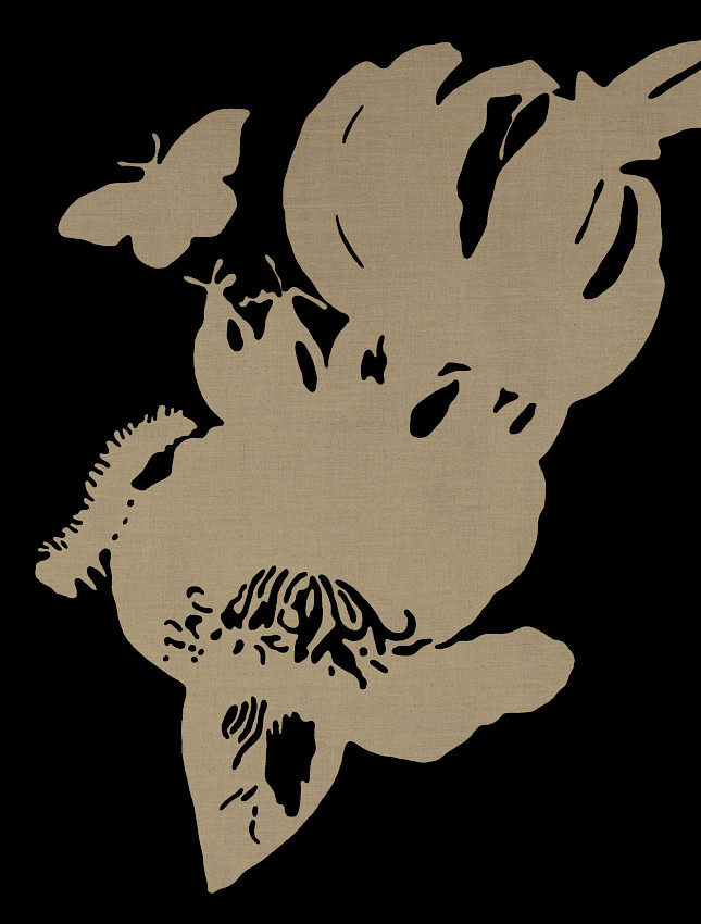 Cinco compiladoras bonitas en una vegetación halofílica