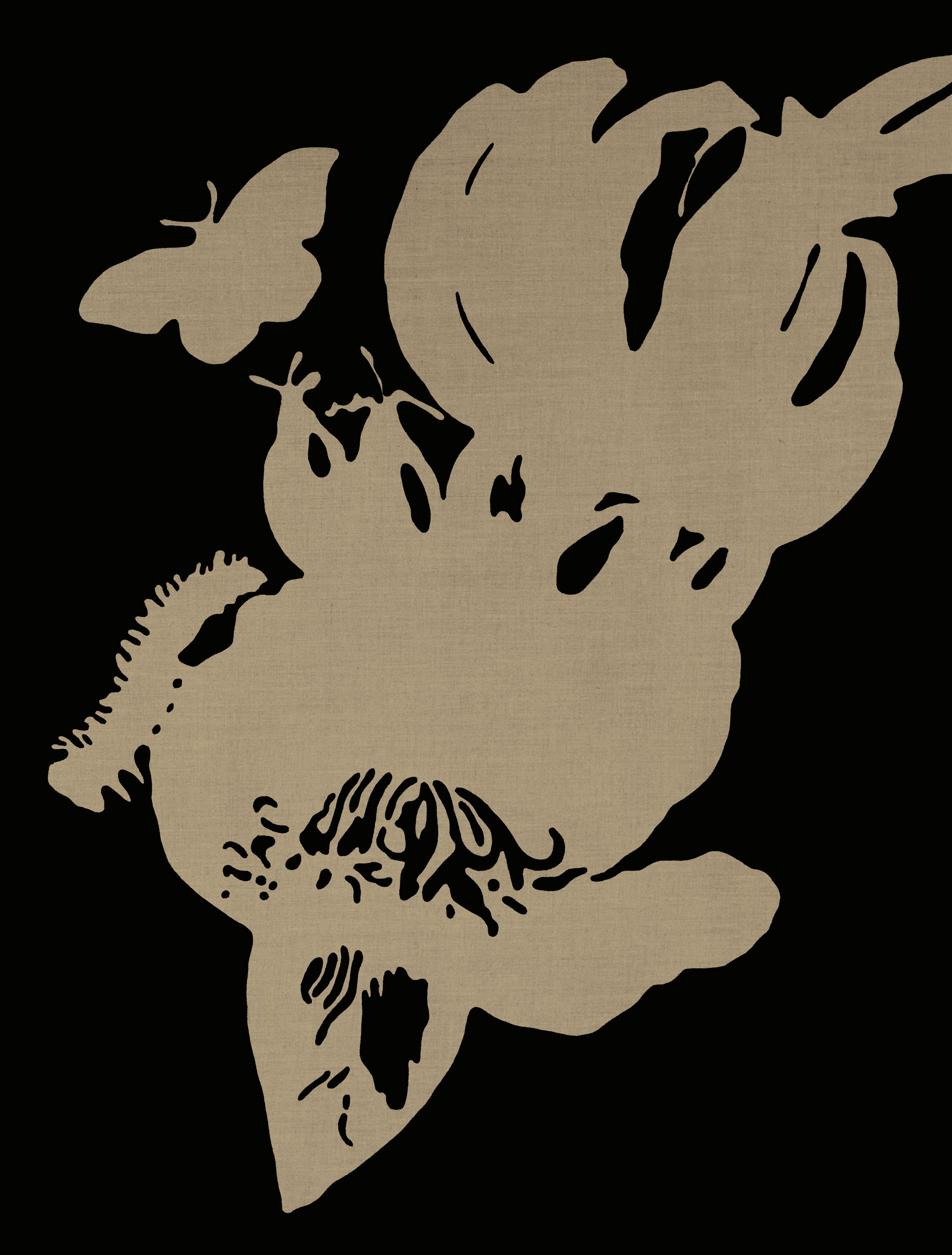 Cinco compiladoras bonitas en una vegetación halofílica