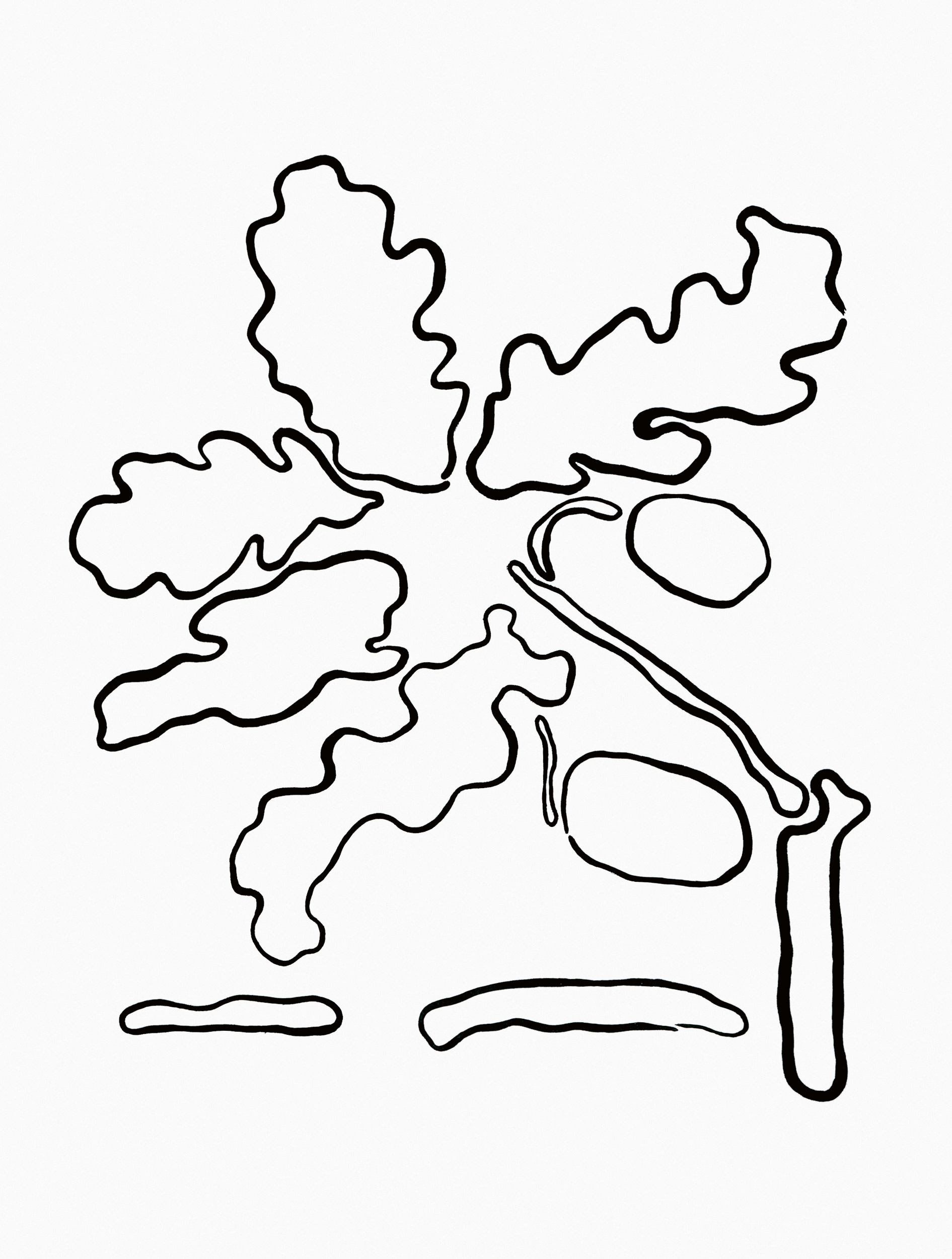 Software artificial, en forma de huevo inverso y totalmente ribeteado