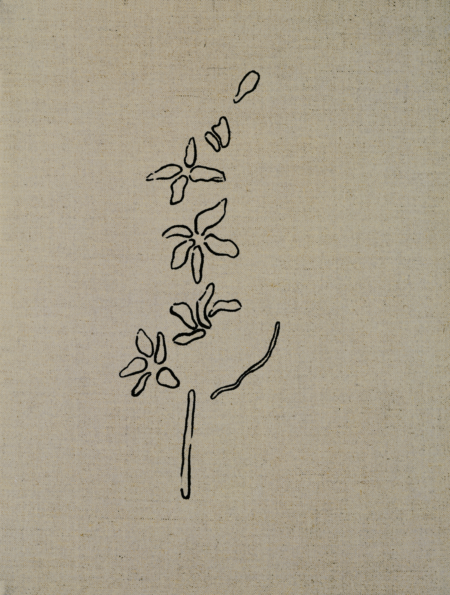 Donationware de cuero, perenne