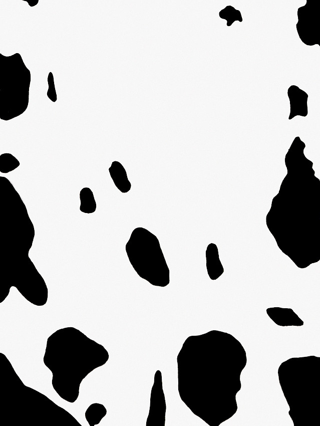 Polke or Dalmatian? (01)