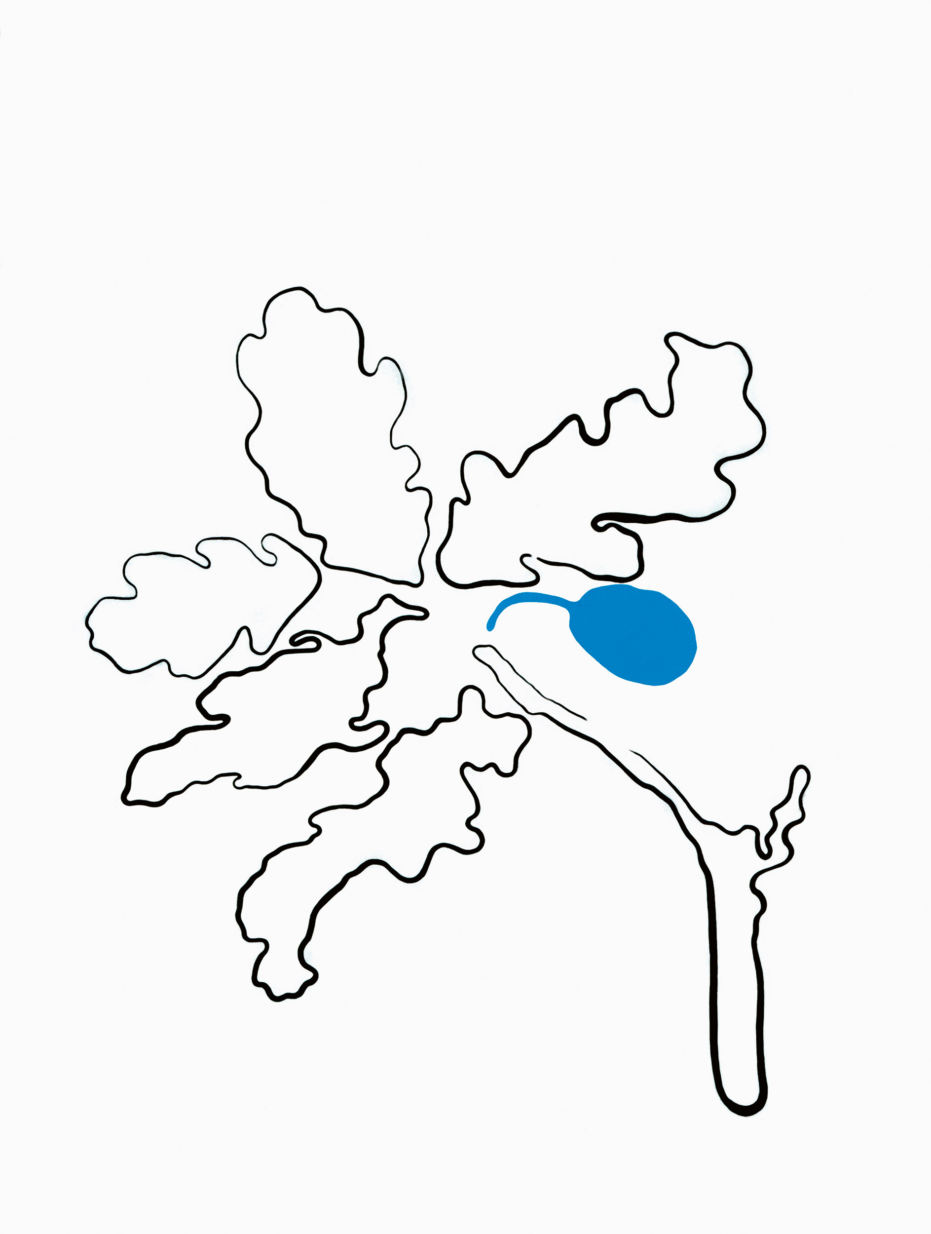 Seis herramientas ASCII