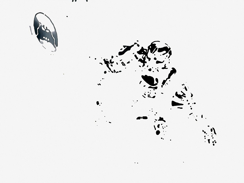 Autorretrato como Ego-Shooter defendiendo los observatorios de caza de Polke