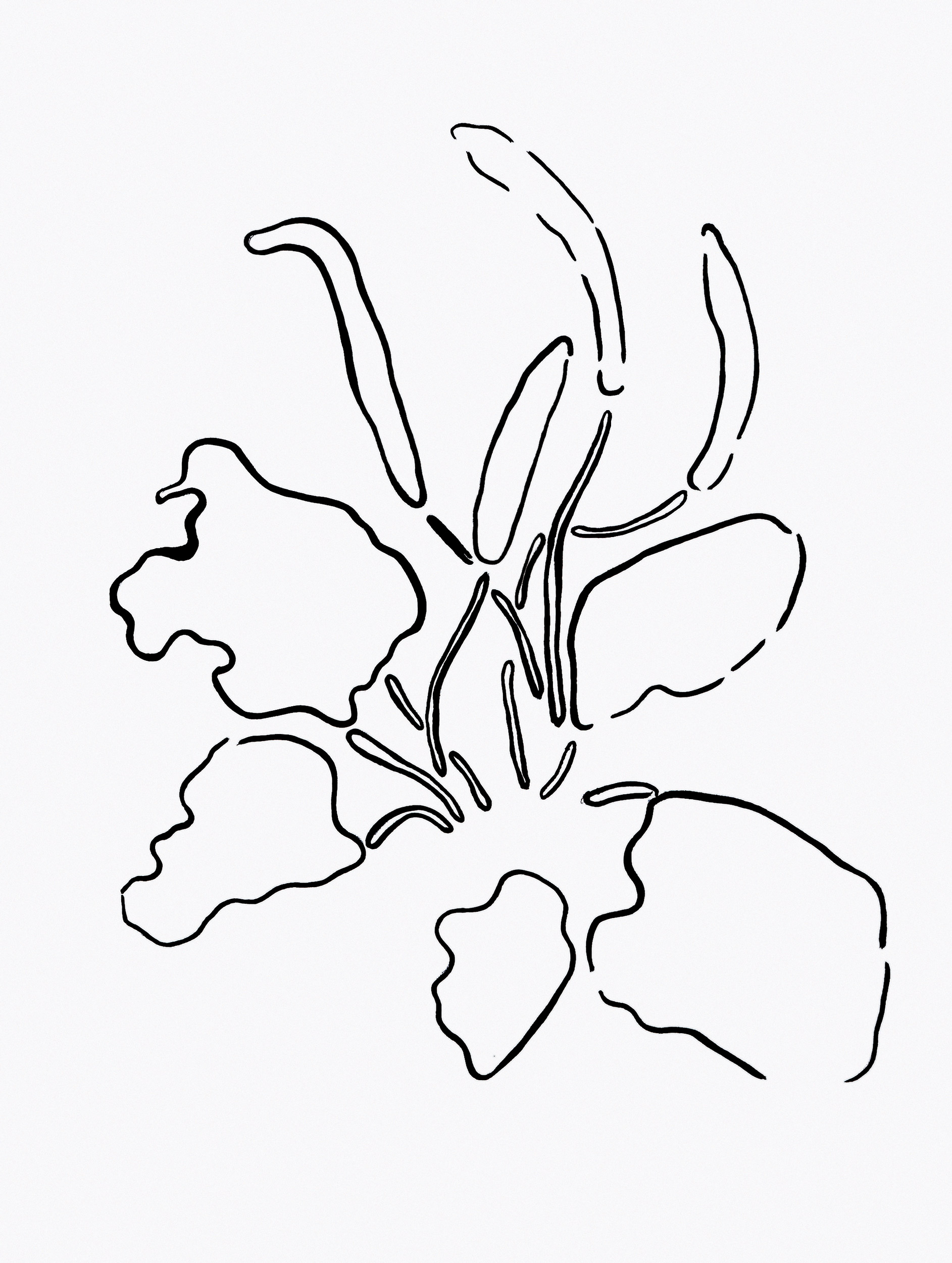 Service.exe en editor Snapshot