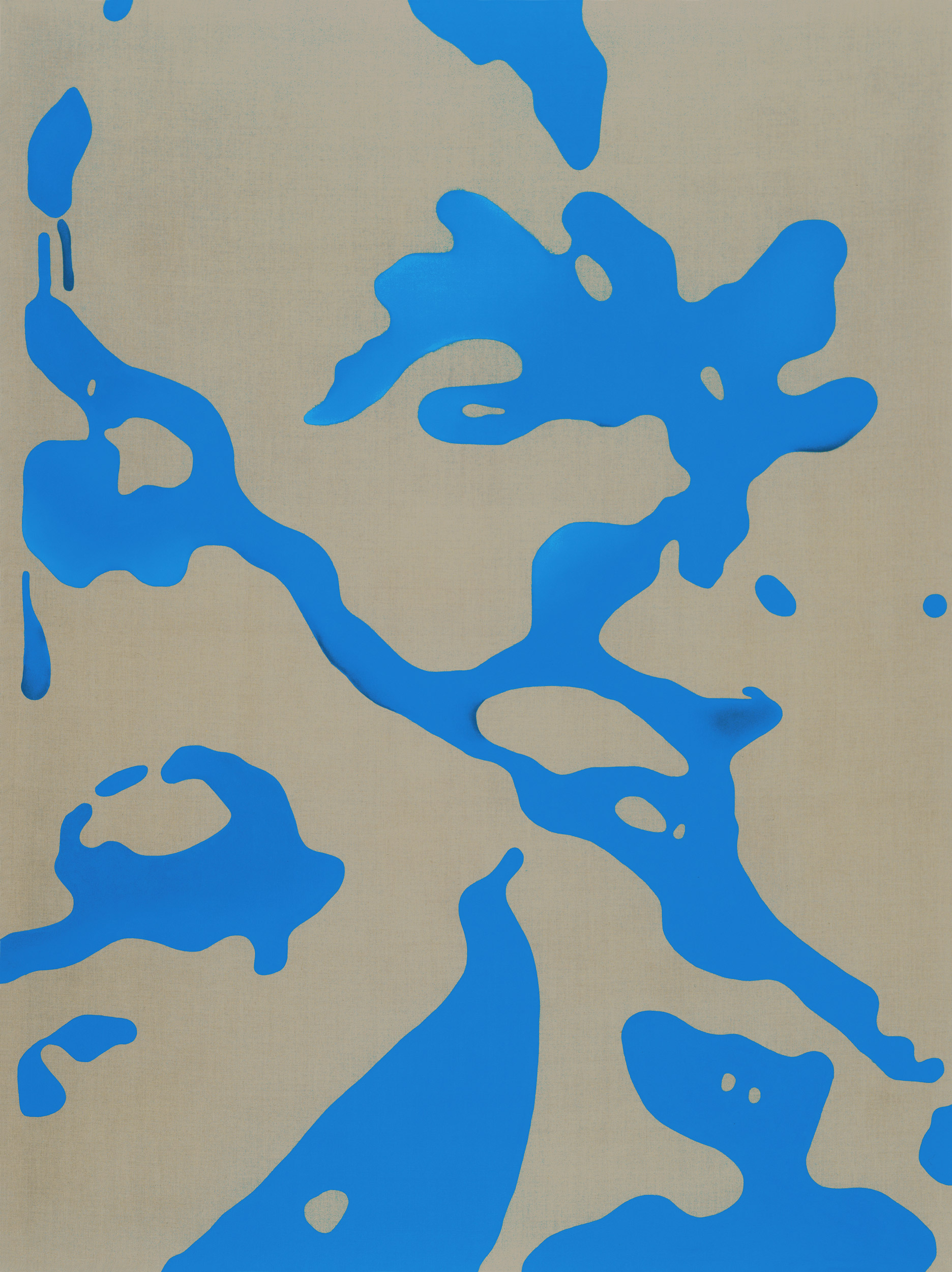 Green-Yellow Jelly Babies (Leotia lubrica).2.0.