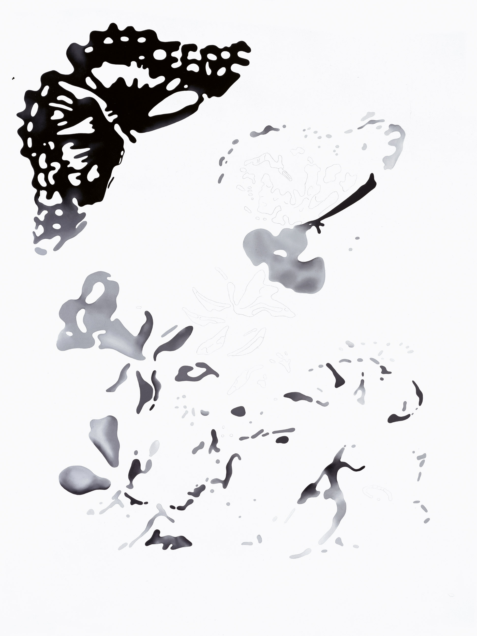 Virus INEDT.exe Approaching Insanity (Lack of a Registration Application)