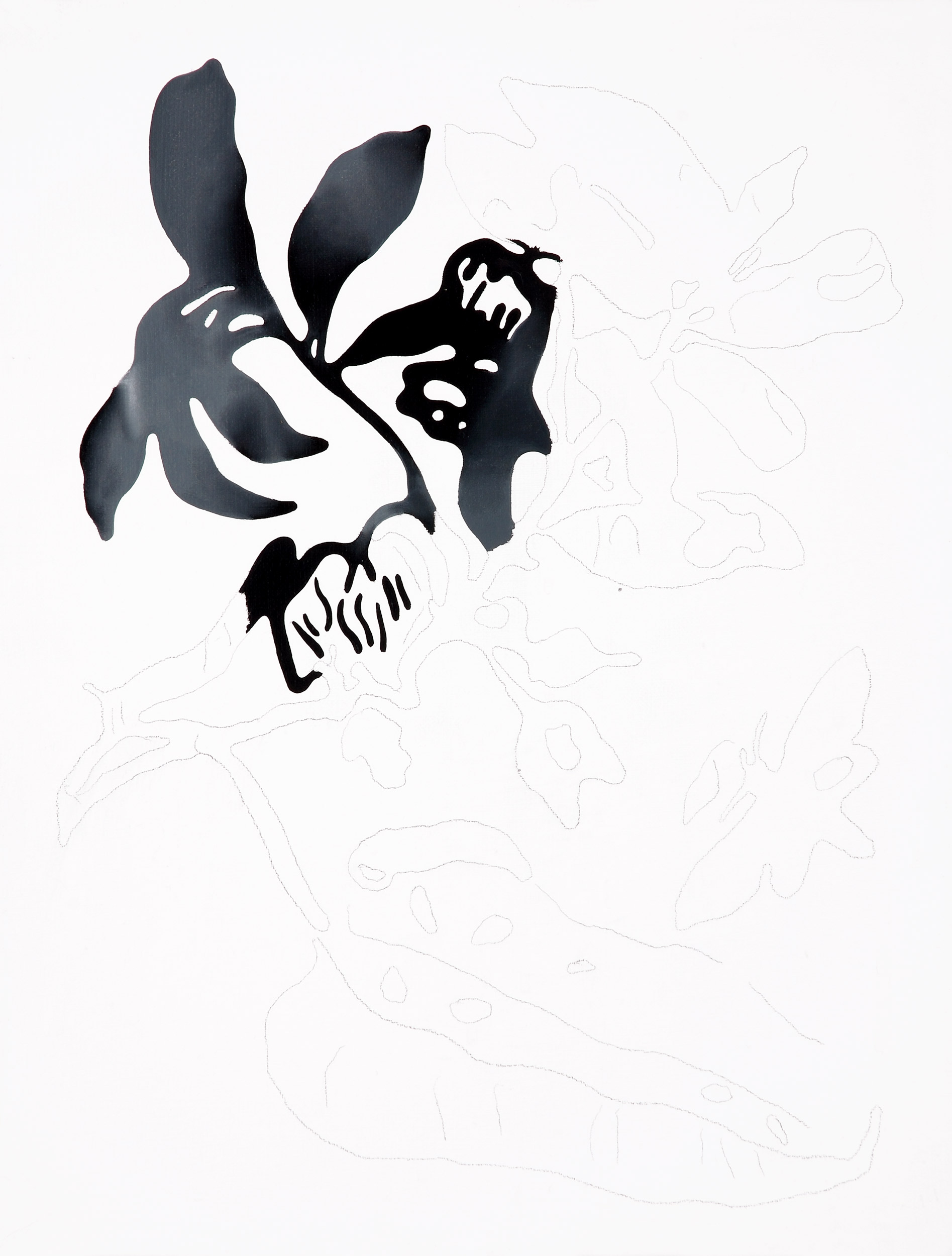 Familia de Hoaxes parecidos a Lenguas de tierra hisurtas (Geoglossaceae)