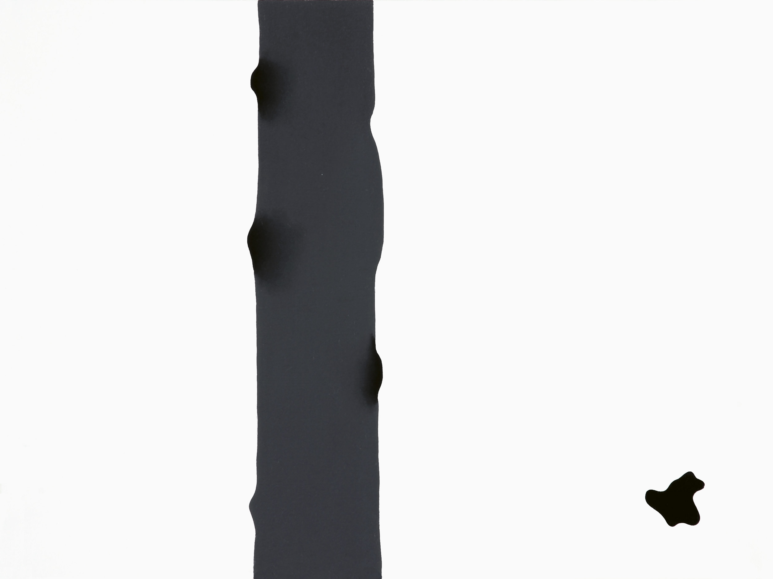 También me podría haber pintado a mí mismo como director del consenso