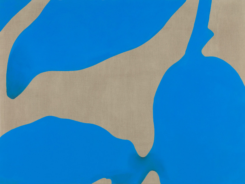 Gusano Autorun Morphex (versión 1.3) con ovarios (fruto indehiscente)