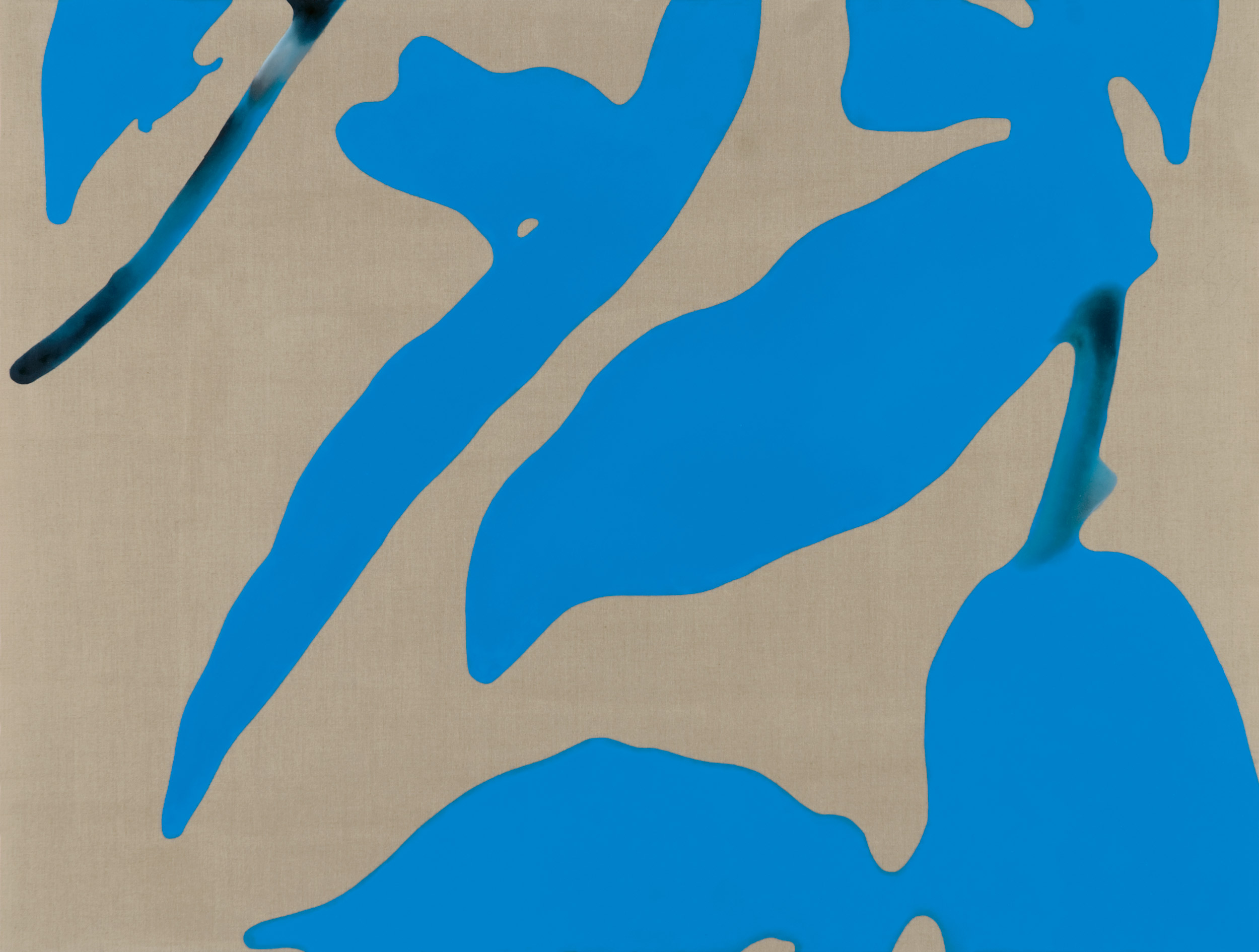 Autorun Wurm Morphex (Version 1.6) in grün blühender Phase