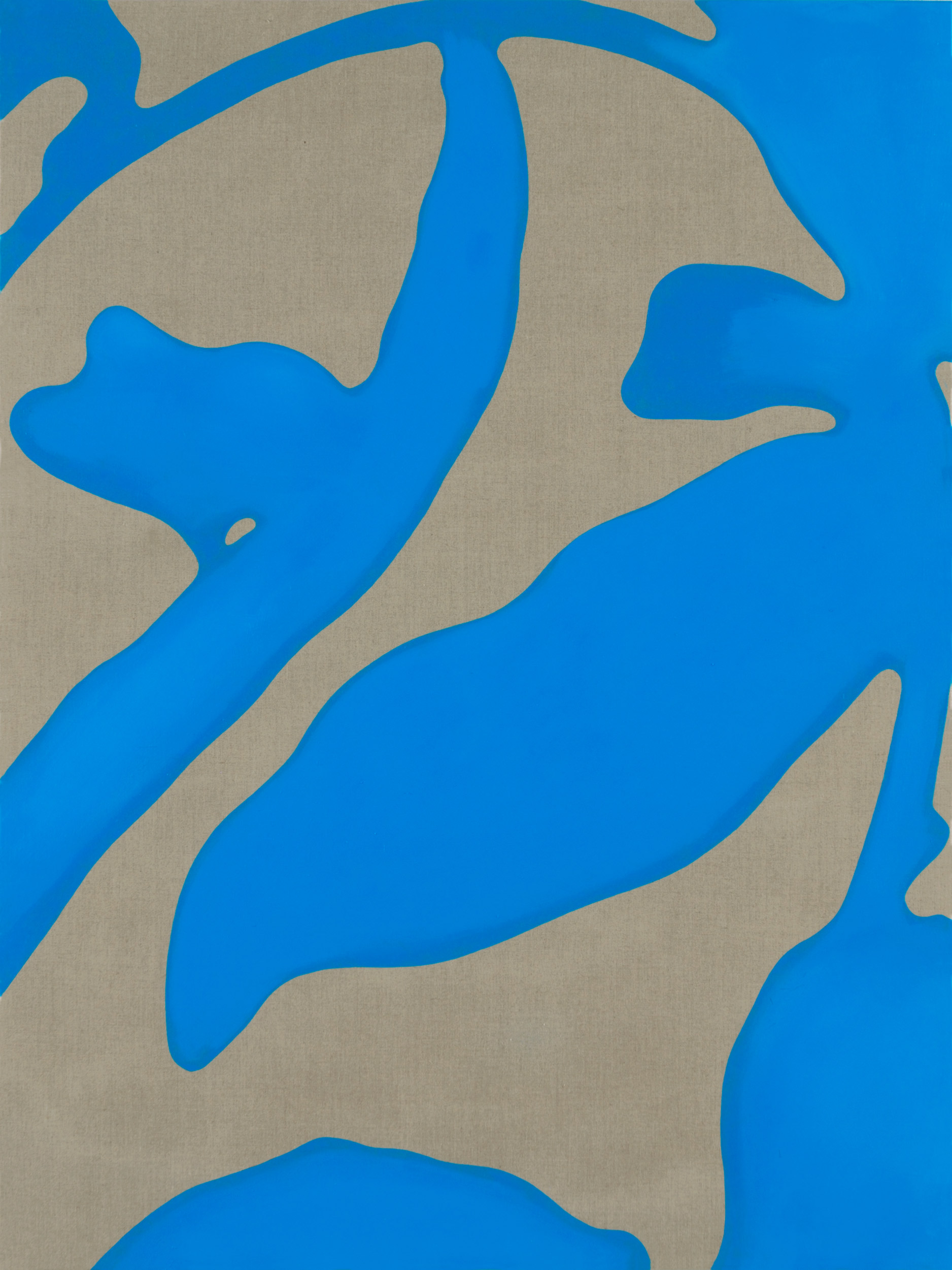 Vergrößerte Fruchtwandteile Autorun Wurm Morphex (Version 2.0.1)