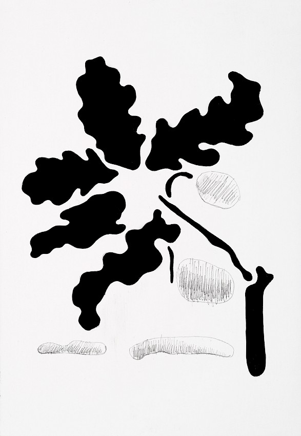 KunstsoftwarVerkEiforA