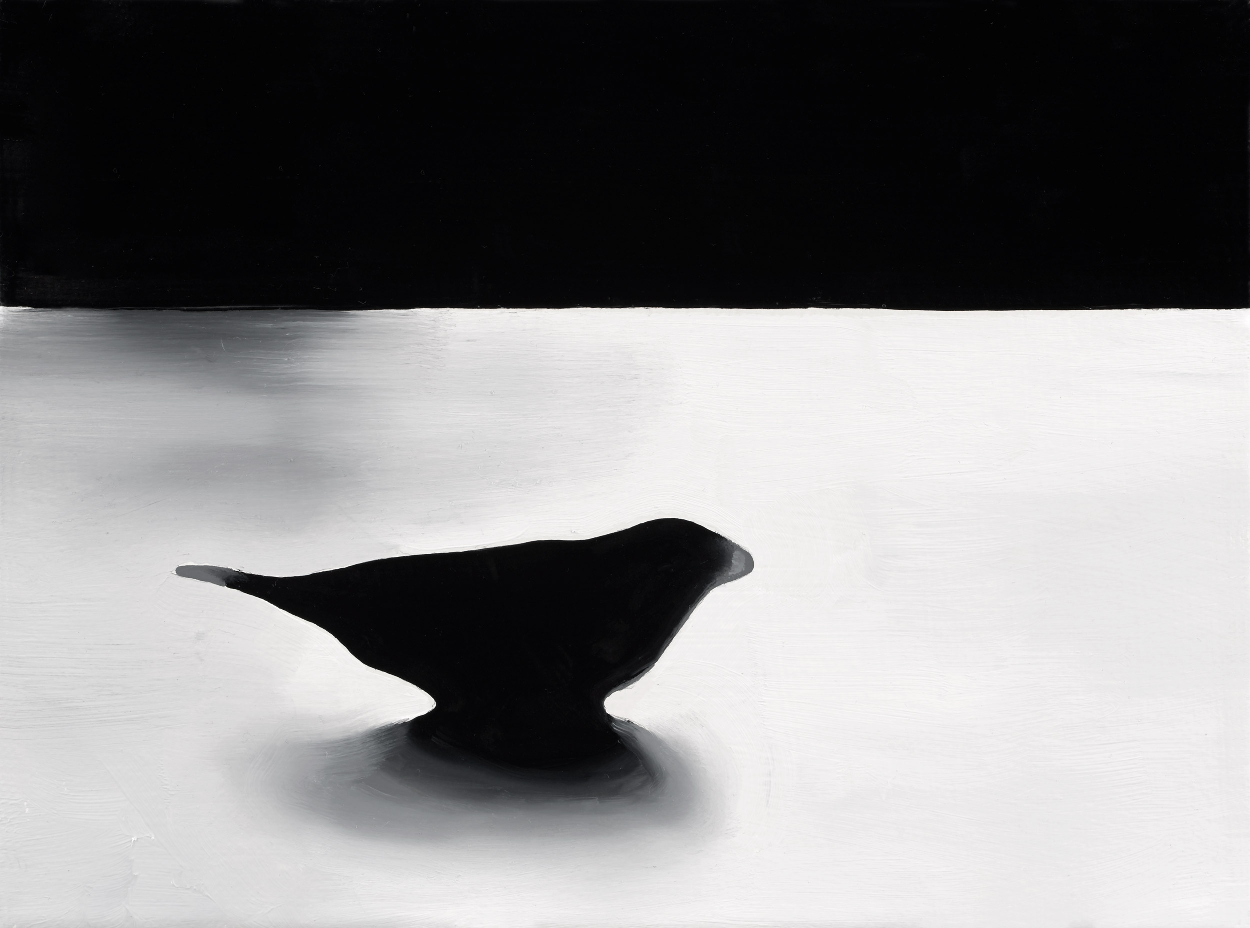 Augurenlächeln (003)