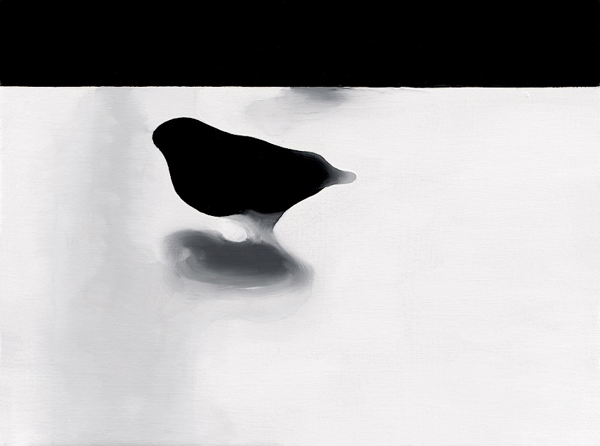 Augurenlächeln (005)