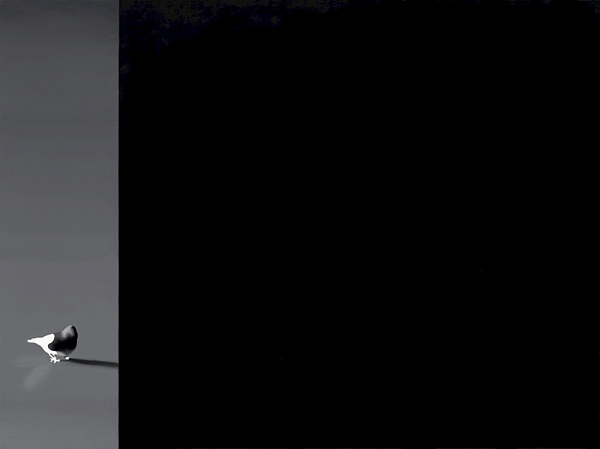 A Knowing Smile (014)