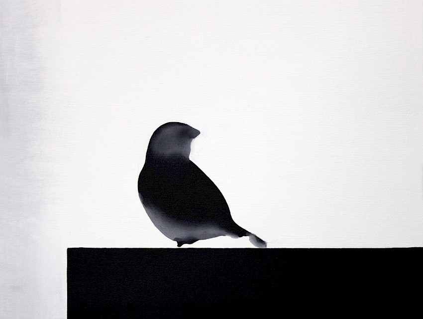 A Knowing Smile (016)