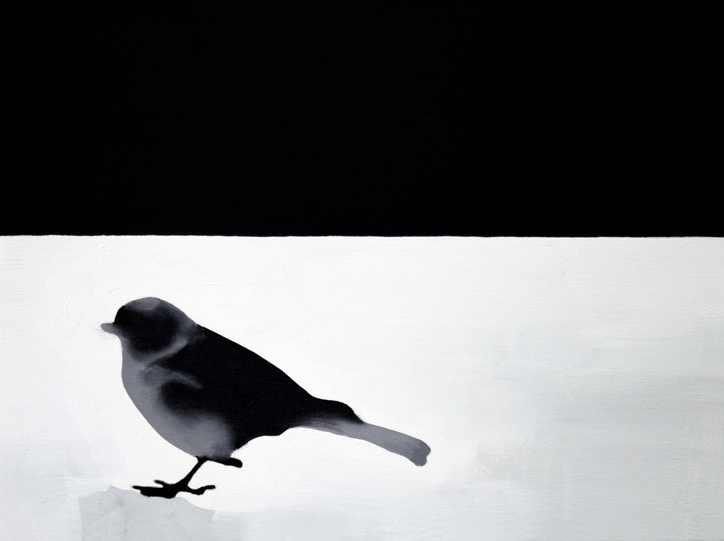 Augurenlächeln (019)