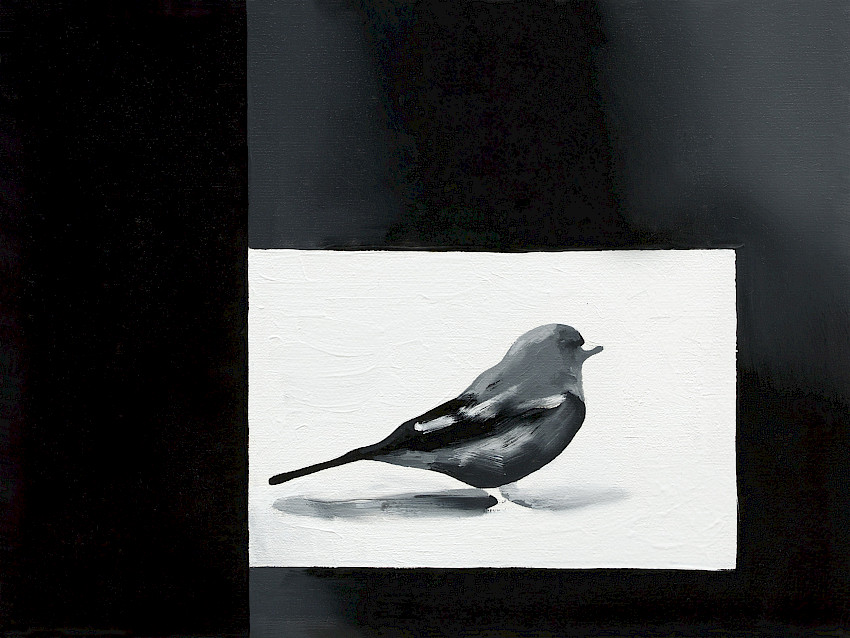 A Knowing Smile (027)