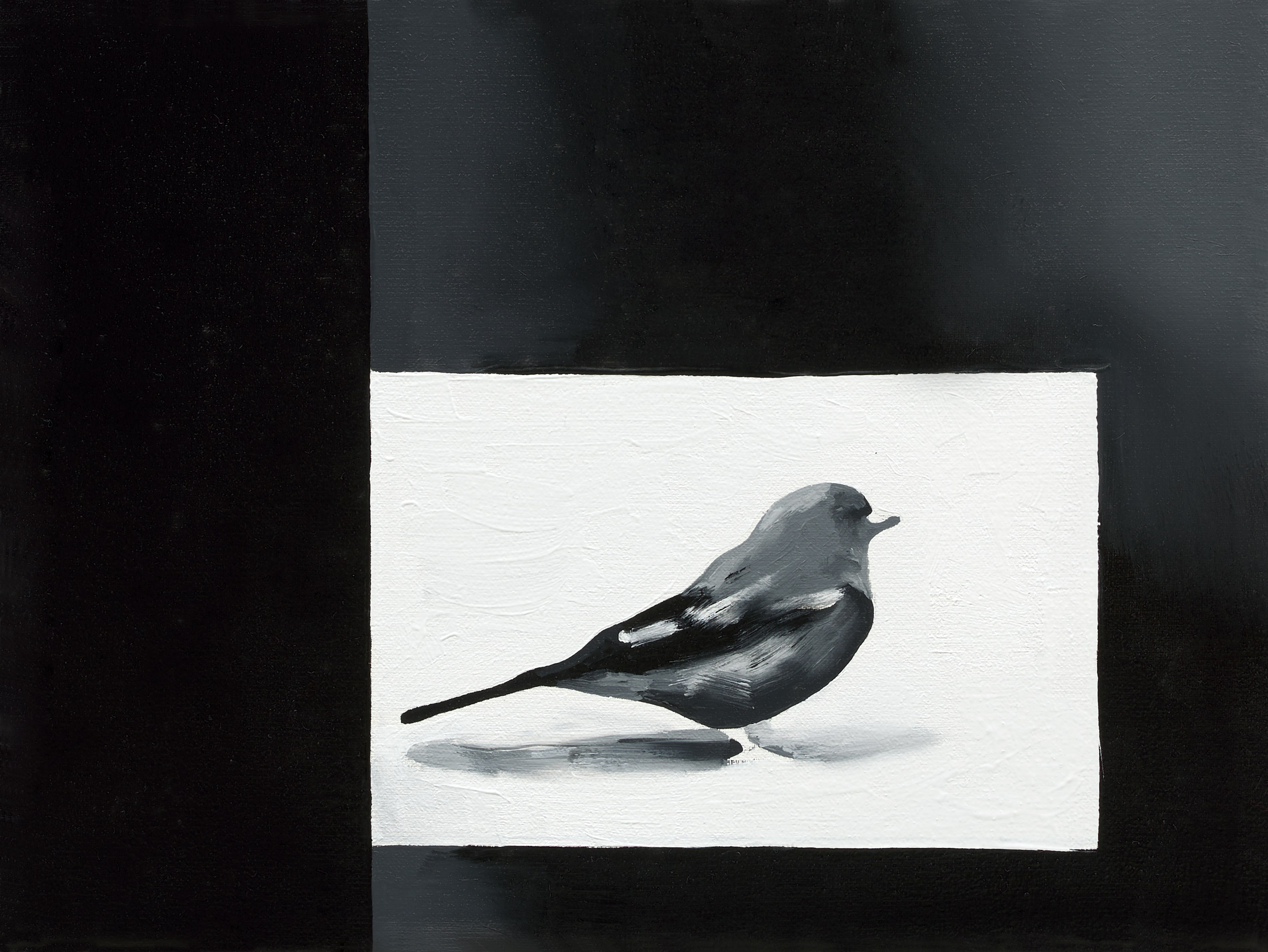 Augurenlächeln (027)