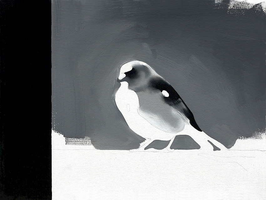 A Knowing Smile (029)