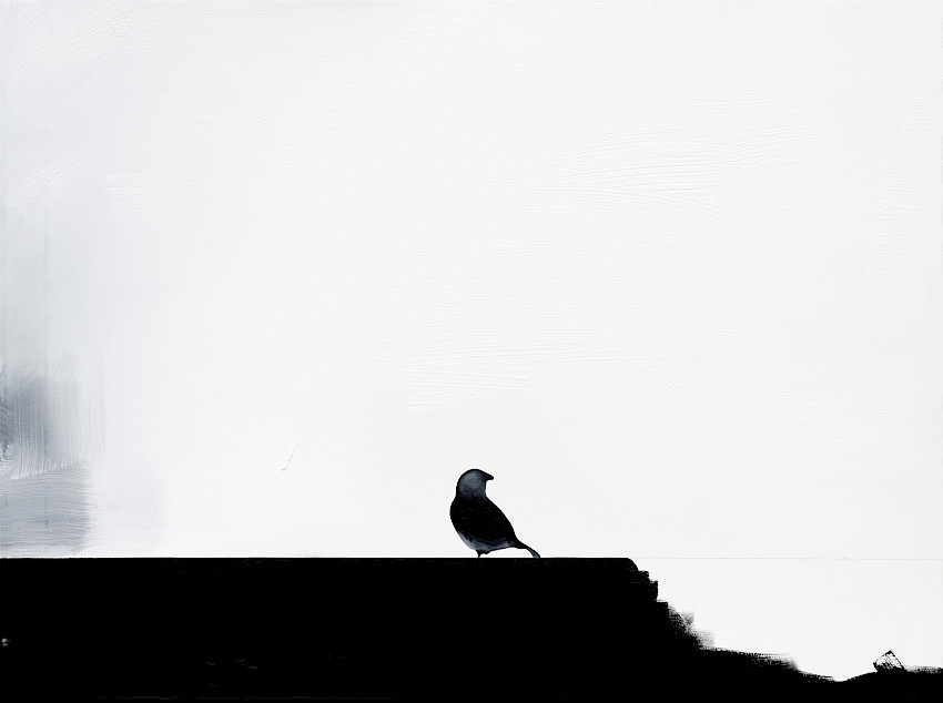 Augurenlächeln (031)