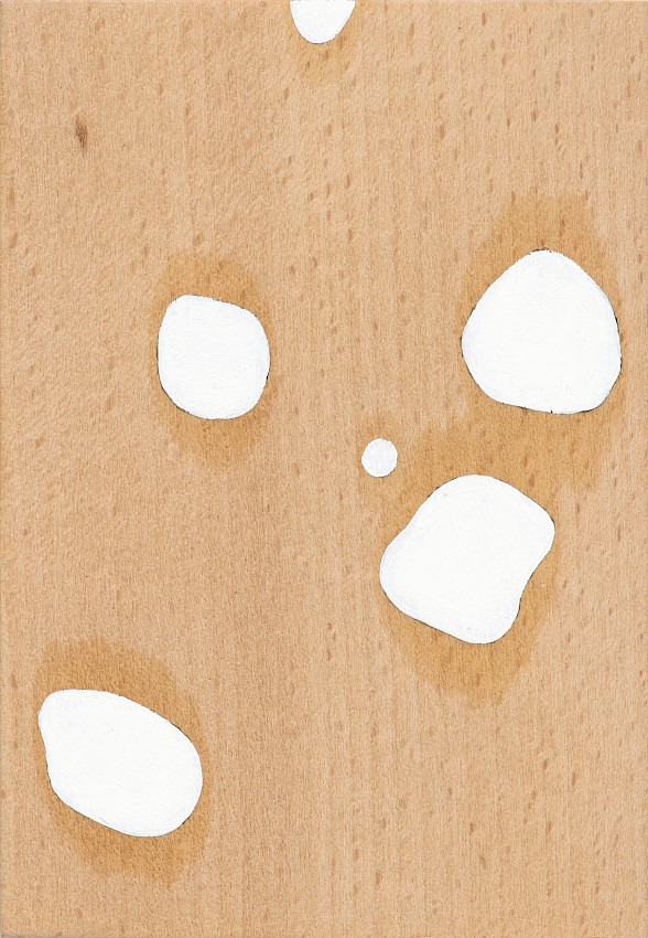 PolkeOderBabydalmat03A