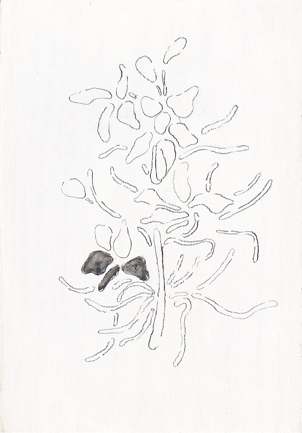 UnerwuenschteCookiesA