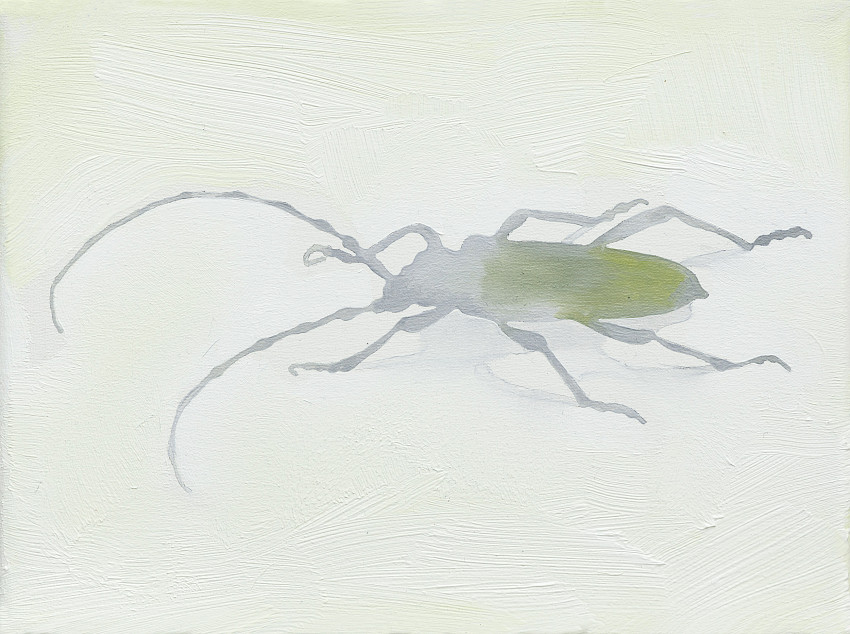 Extinction Rebel (35) - "Radeon AIW"