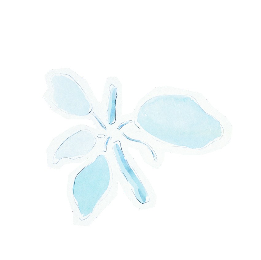 Dreamweaver