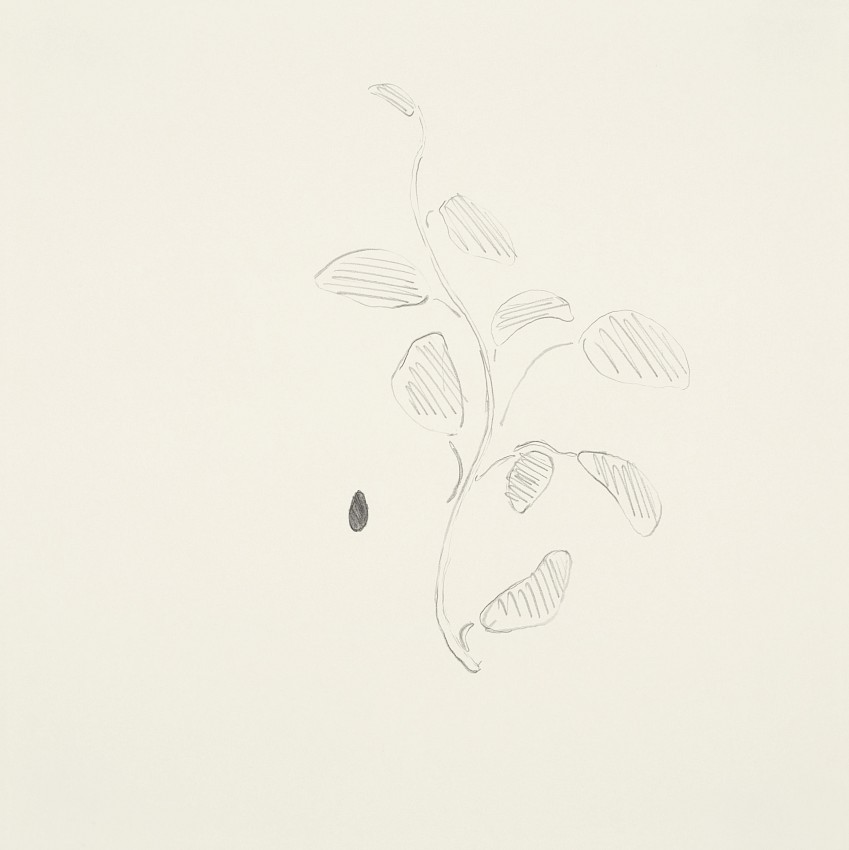 Nuevo Trojano. ¡Haz click aquí!