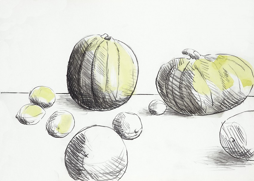 The Kiwis Blame the Lemon for its Colour