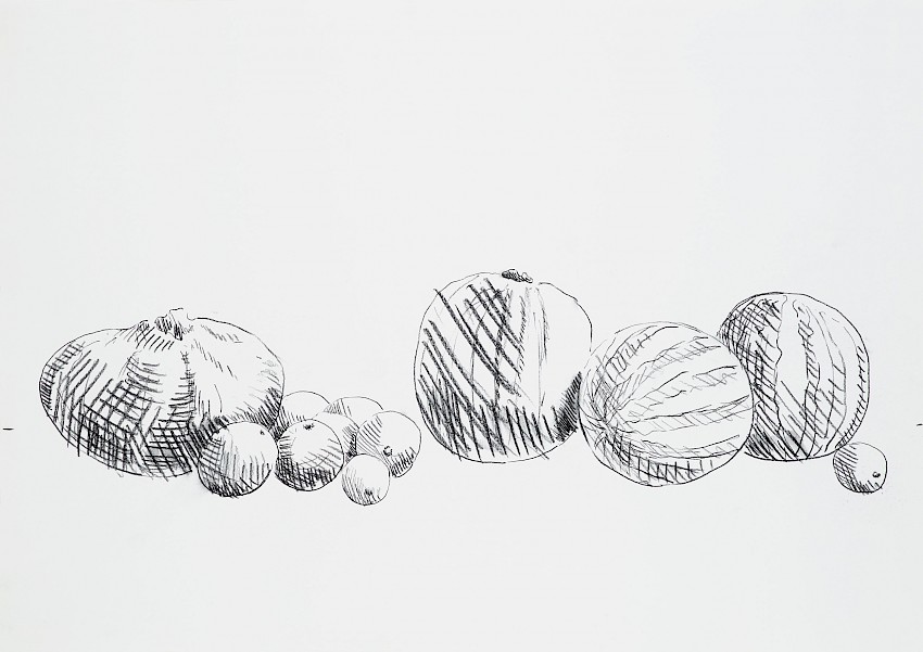 Los melones no superan en número a las calabazas en el dibujo