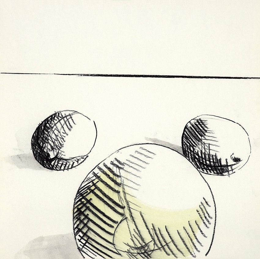 The Lemons Don´t Like the Kiwi in the Drawing (01)
