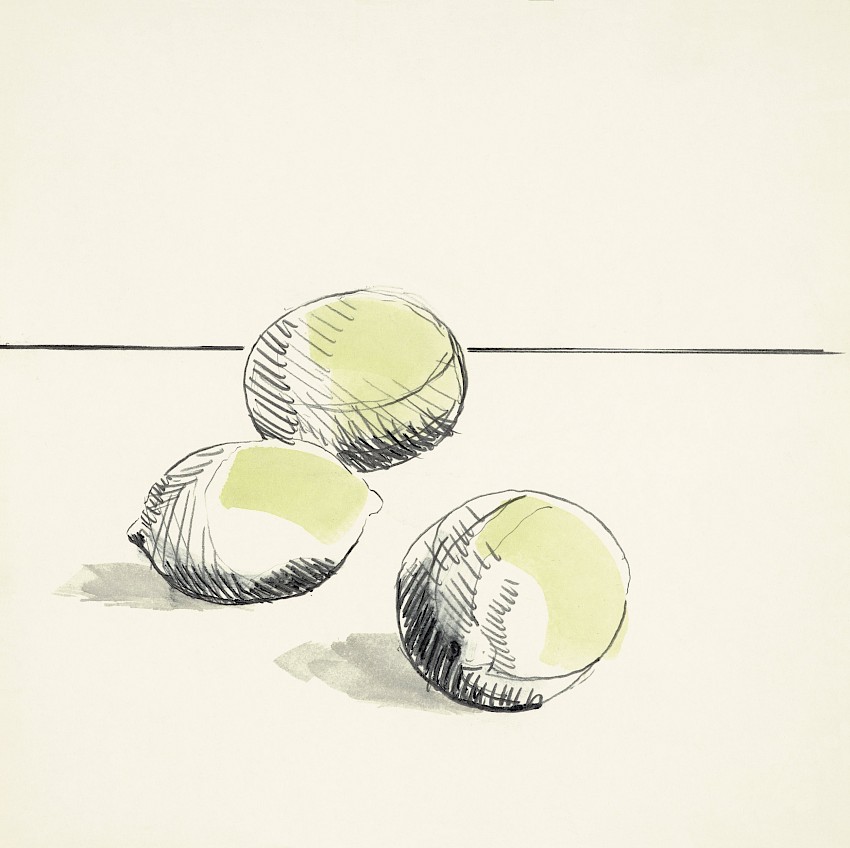 Los limones no quieren al kiwi en el dibujo (03)