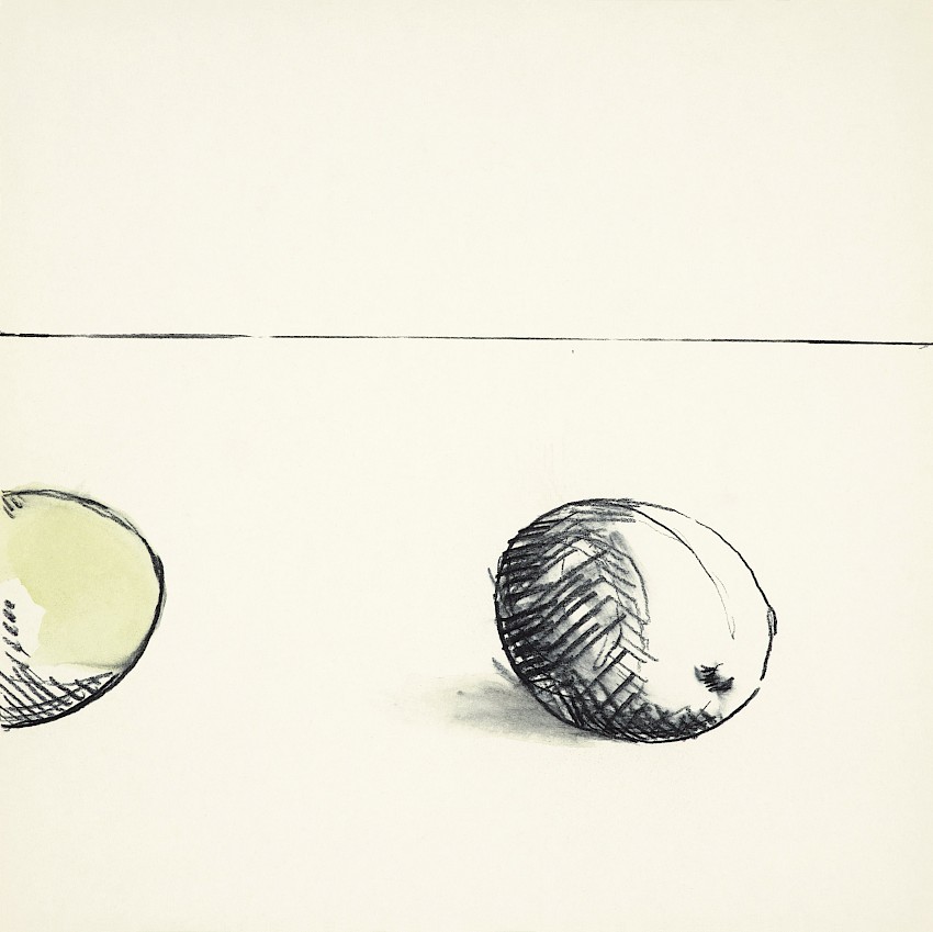The Lemons Don´t Like the Kiwi in the Drawing (06)