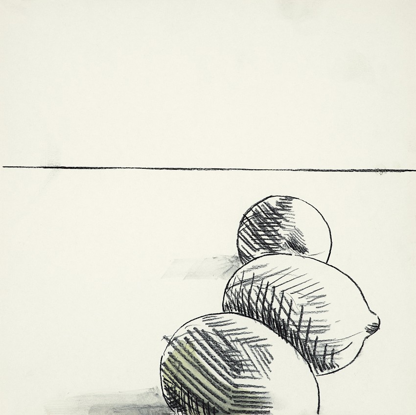Los limones no quieren al kiwi en el dibujo (07)