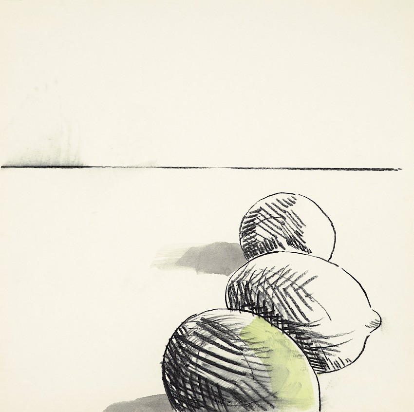 Los limones no quieren al kiwi en el dibujo (09)