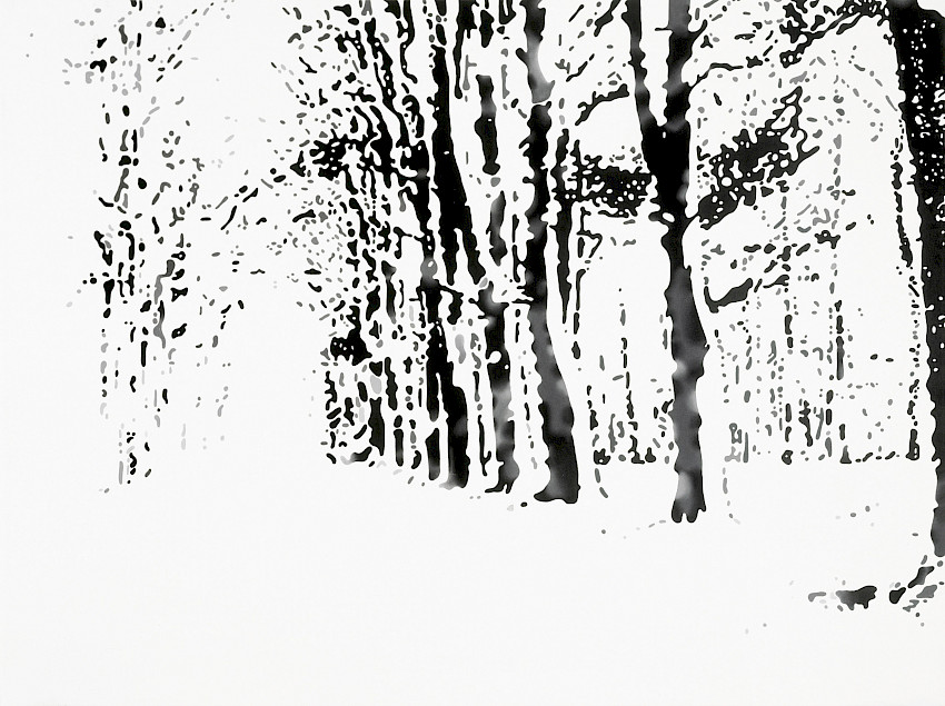 I Could Also Have Painted Some Other Picture for You