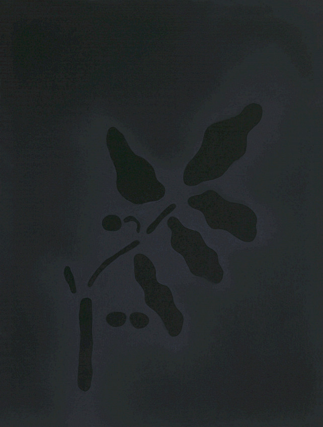 Gusano contagioso.exe por solo 23,99 €