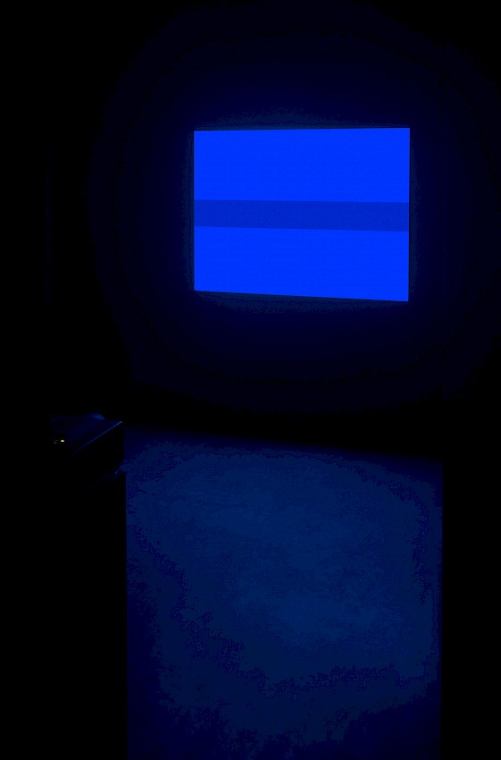 View 01