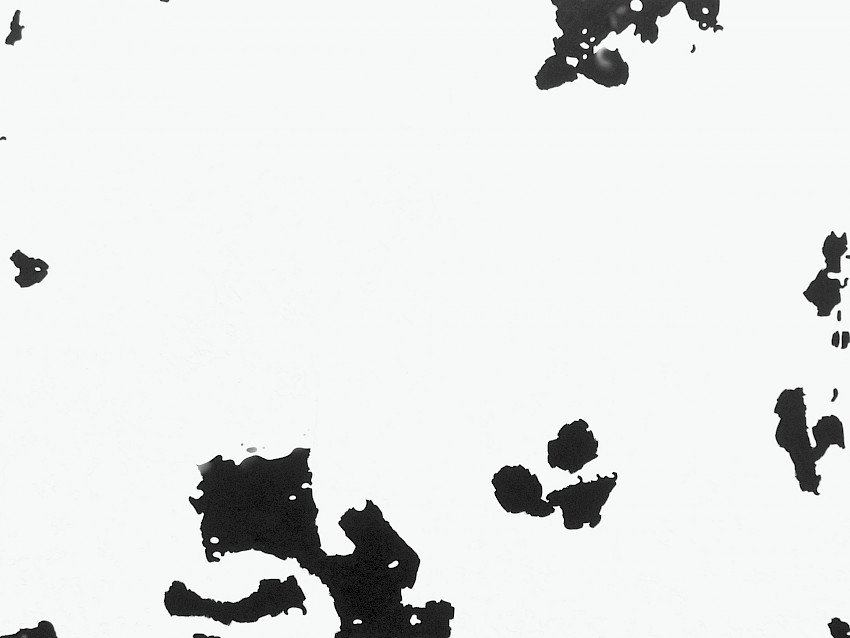 Ansicht 009