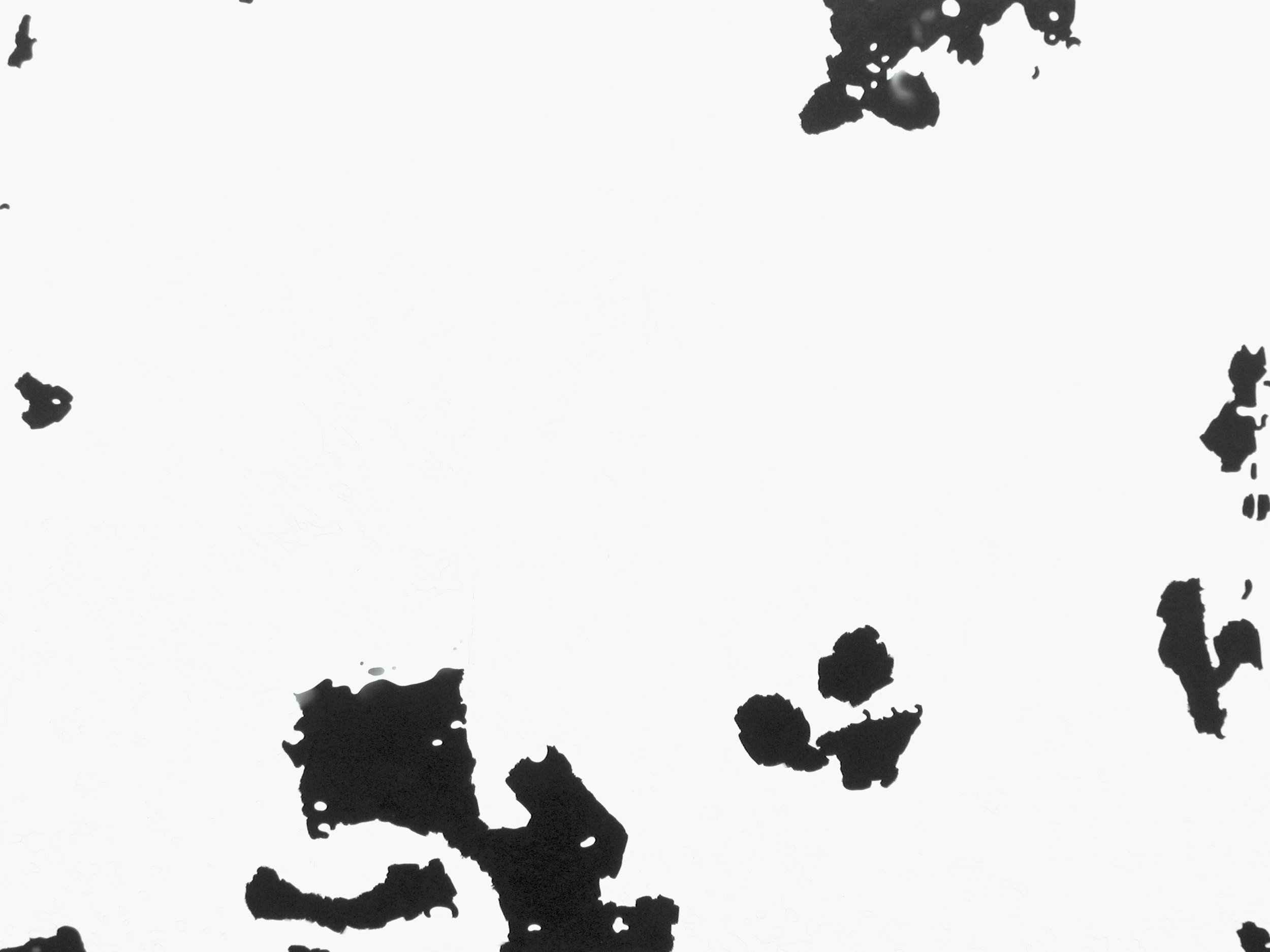 Ansicht 009