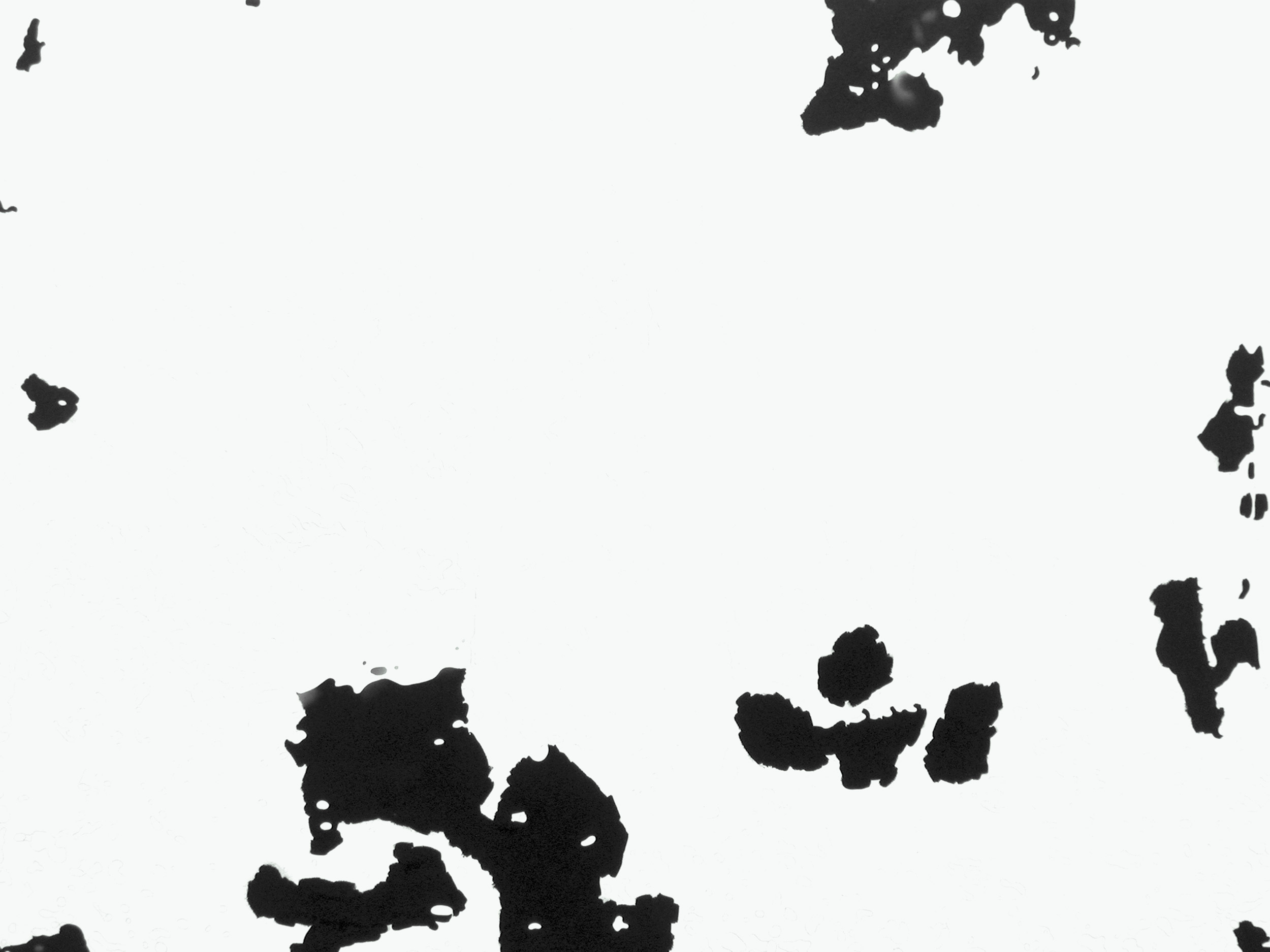 Ansicht 010
