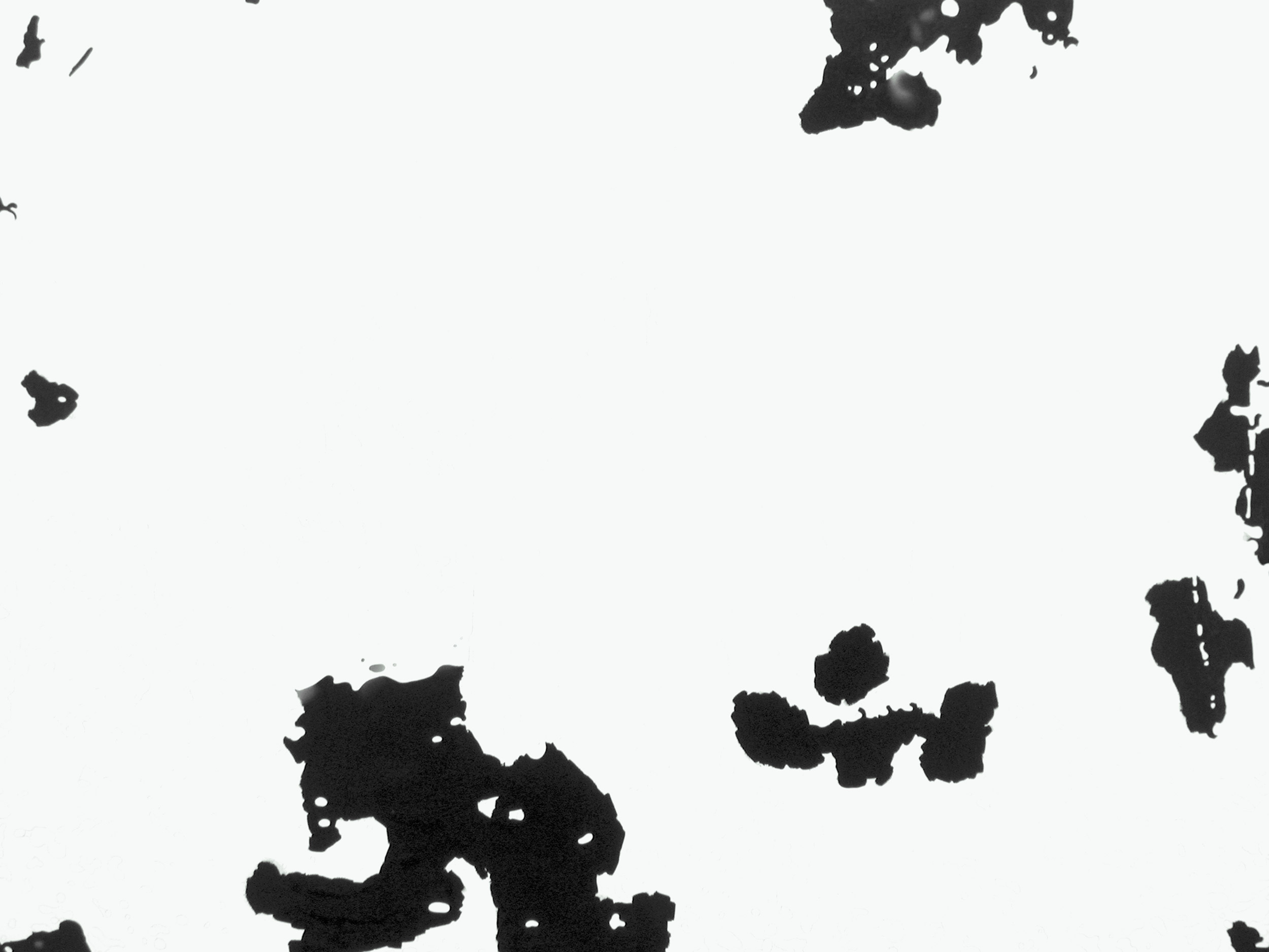 Ansicht 011