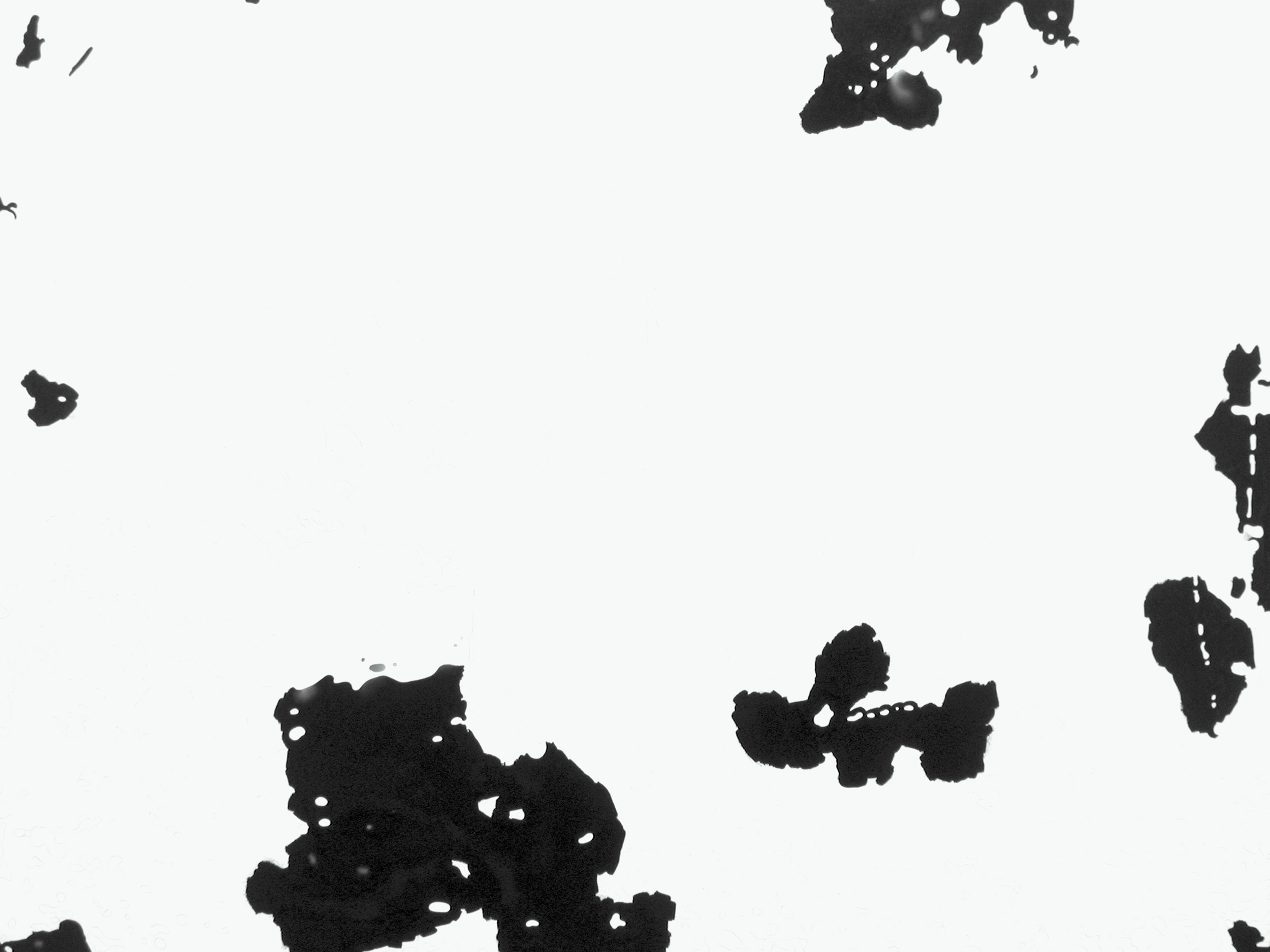 Ansicht 012