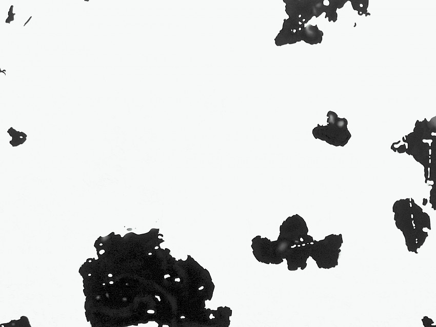 Ansicht 014