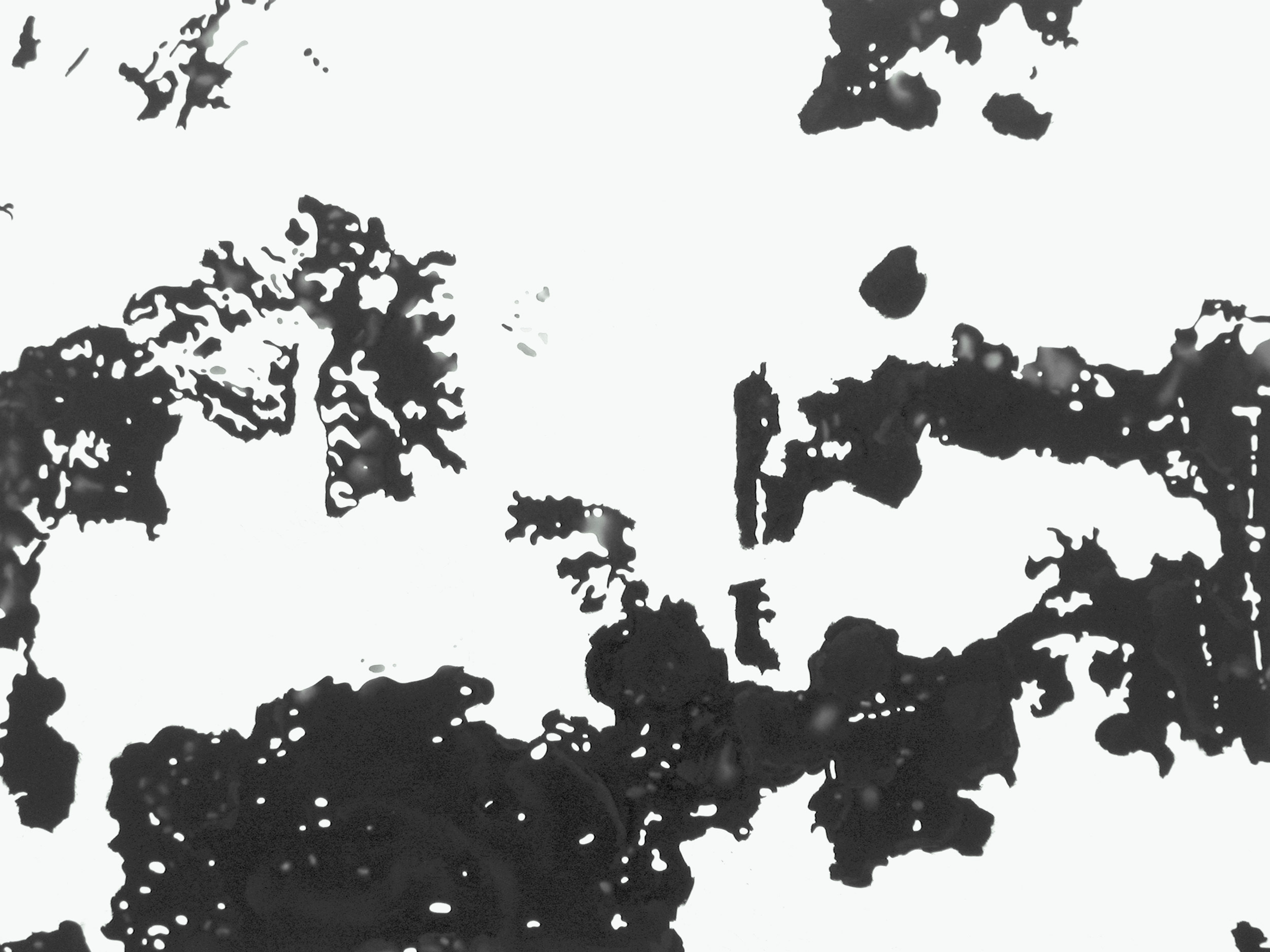 Ansicht 031