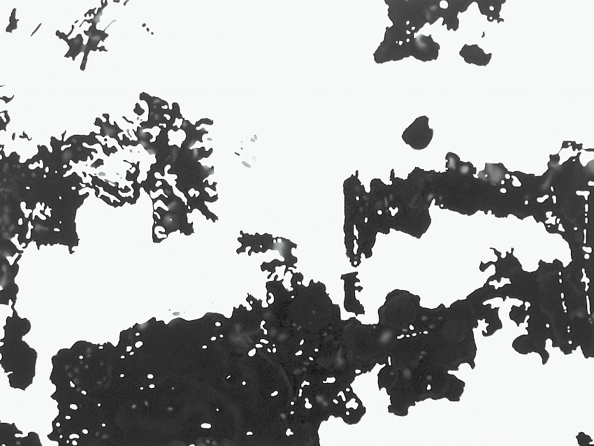 Ansicht 033